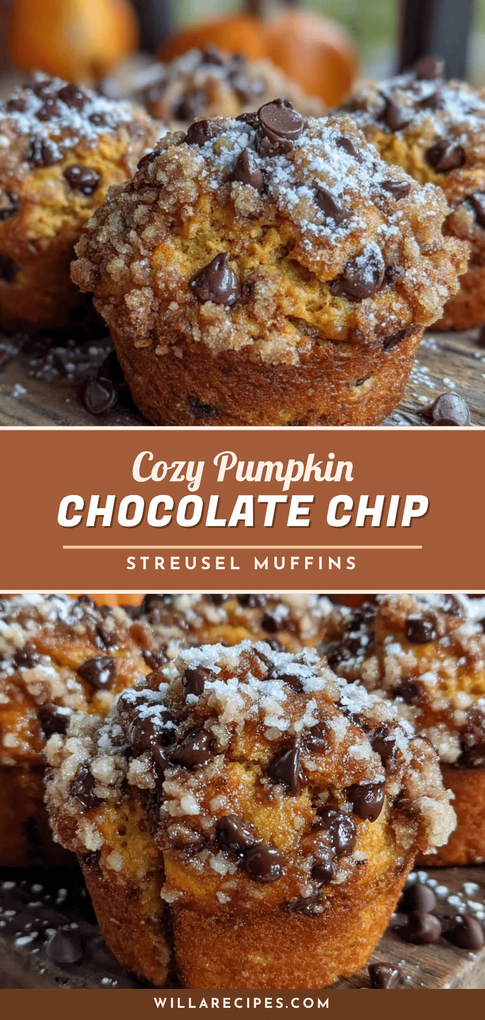 chocolate chip pumpkin muffins recipe