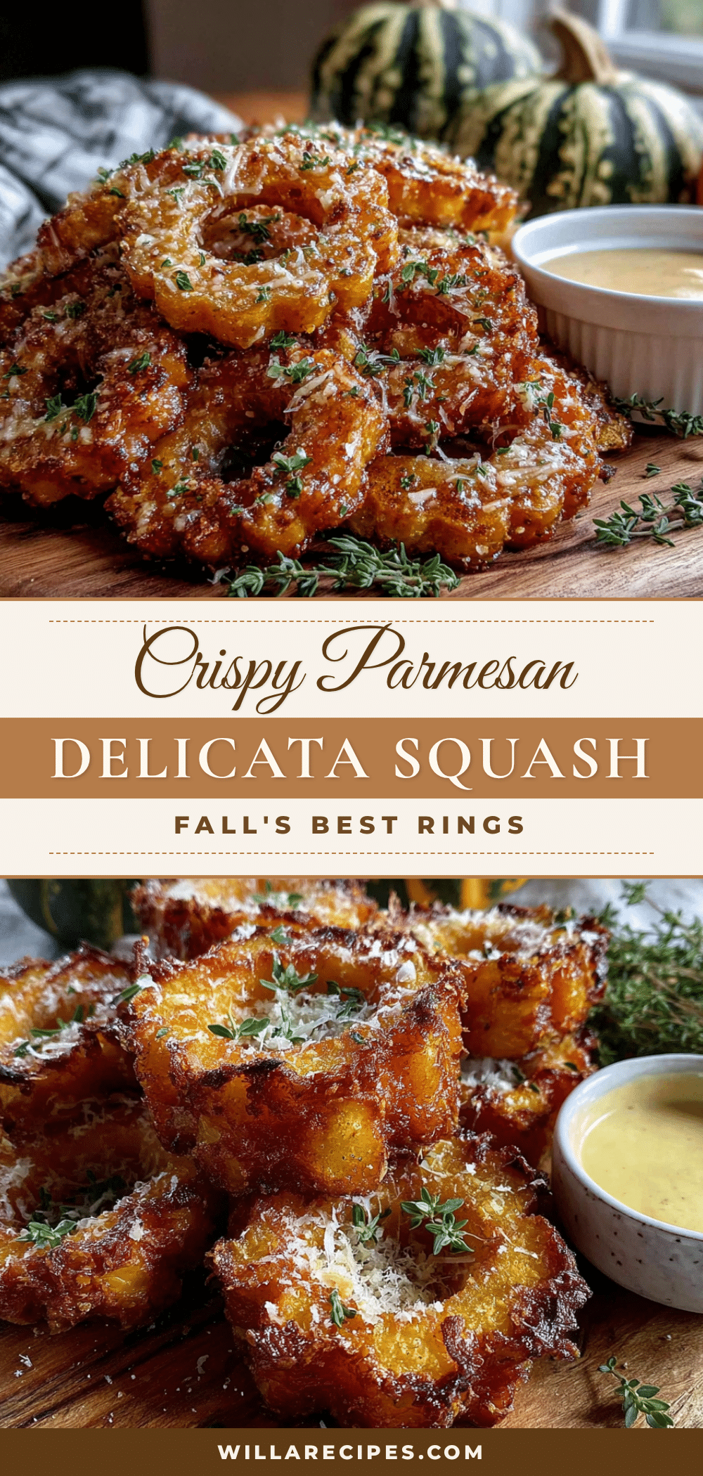 crispy parmesan delicata squash rings recipe
