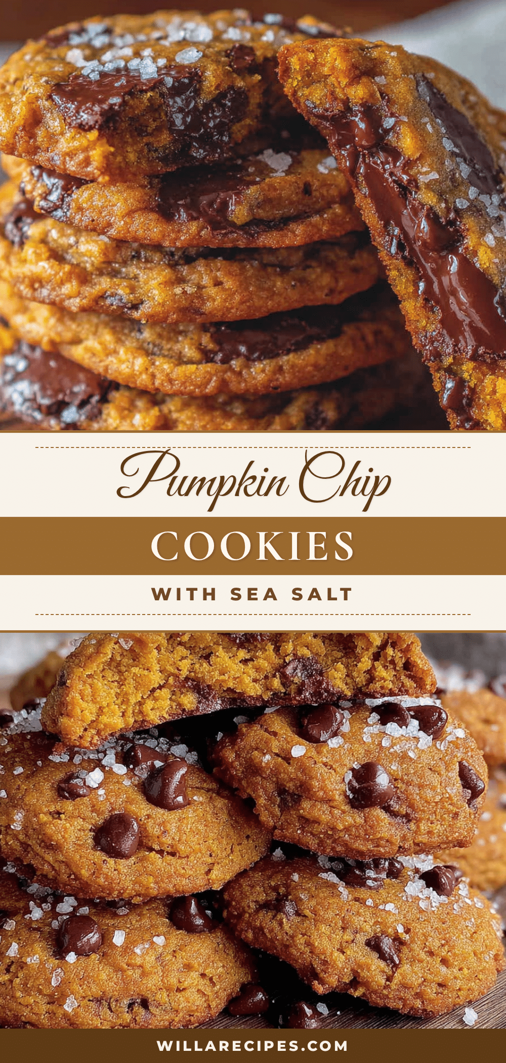 pumpkin chocolate chip cookies recipe